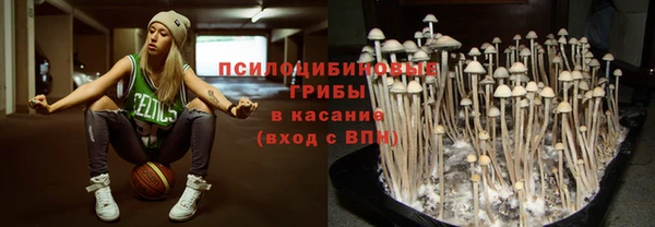 стафф Белоозёрский